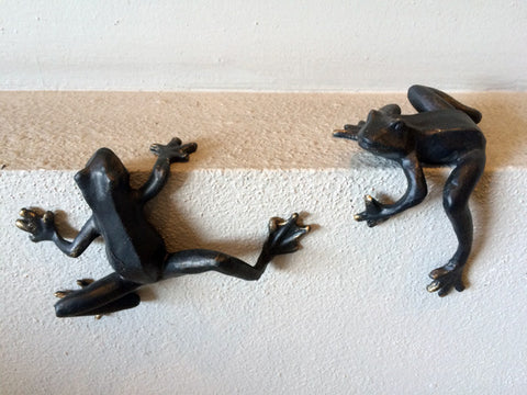 Iron Coqui Frogs