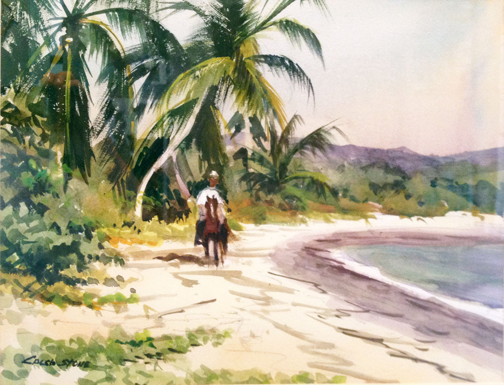 Paso Fino, Vieques by Caleb Stone