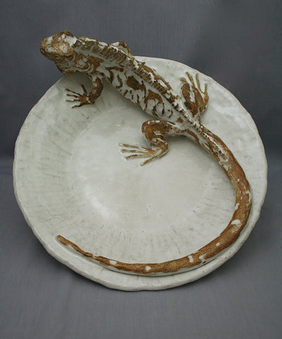 Iguana platter